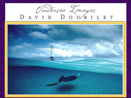 . Considered the leading underwater photographer in the world, Doubilet has introduced a generation of readers to the mysteries and wonders of the deep.