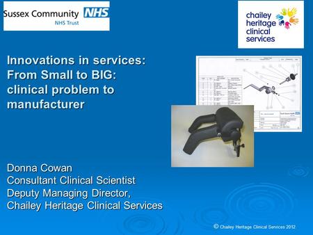 Donna Cowan Consultant Clinical Scientist Deputy Managing Director, Chailey Heritage Clinical Services Innovations in services: From Small to BIG: clinical.