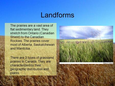 Landforms The prairies are a vast area of flat sedimentary land. They stretch from Ontario (Canadian Shield) to the Canadian Rockies. The prairies cover.