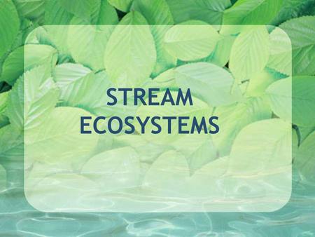 STREAM ECOSYSTEMS.