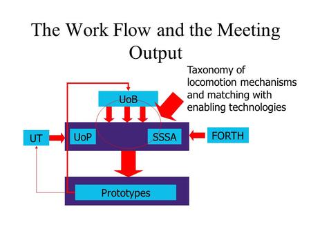 The Work Flow and the Meeting Output UT UoB FORTH UoPSSSA Prototypes Taxonomy of locomotion mechanisms and matching with enabling technologies.