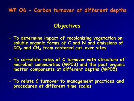 WP O6 - Carbon turnover at different depths Objectives –To determine impact of recolonizing vegetation on soluble organic forms of C and N and emissions.