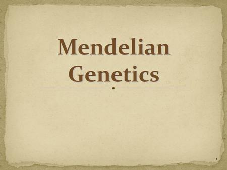 1 Gregor Mendel (1822-1884) Responsible for discovering the laws governing inheritance of traits.