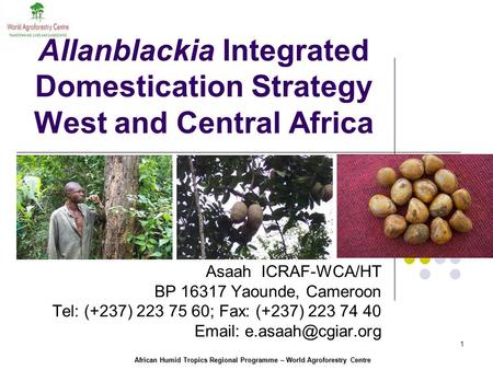 African Humid Tropics Regional Programme – World Agroforestry Centre 1 Allanblackia Integrated Domestication Strategy West and Central Africa Asaah ICRAF-WCA/HT.