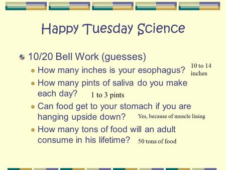 Happy Tuesday Science 10/20 Bell Work (guesses) How many inches is your esophagus? How many pints of saliva do you make each day? Can food get to your.