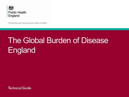 The Global Burden of Disease England Technical Guide.