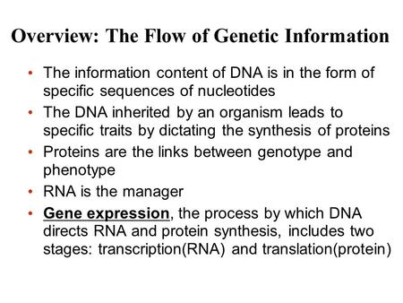 Overview: The Flow of Genetic Information