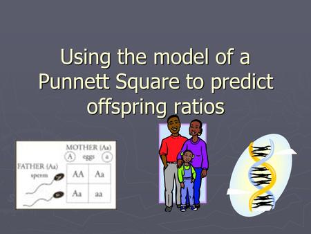 Using the model of a Punnett Square to predict offspring ratios.