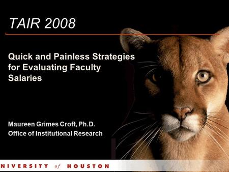 TAIR 2008 Quick and Painless Strategies for Evaluating Faculty Salaries Maureen Grimes Croft, Ph.D. Office of Institutional Research.