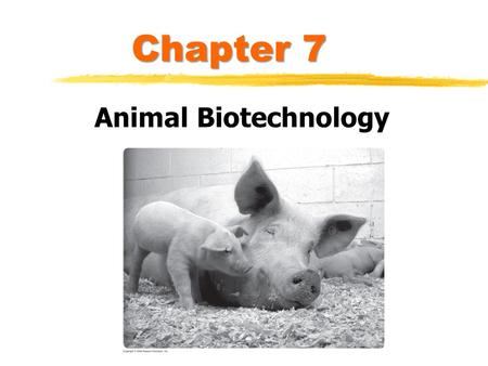 Chapter 7 Animal Biotechnology. Animals in Research.