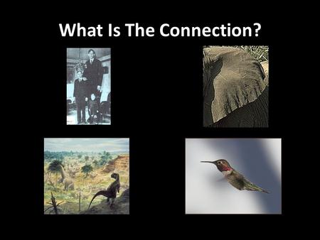 What Is The Connection?. A conceptual problem… Q = How do cells feed and excrete? A = Via their cell membranes So therefore, shouldn’t.