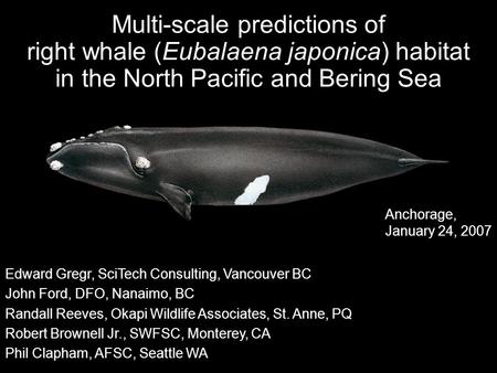 Multi-scale predictions of right whale (Eubalaena japonica) habitat in the North Pacific and Bering Sea Edward Gregr, SciTech Consulting, Vancouver BC.