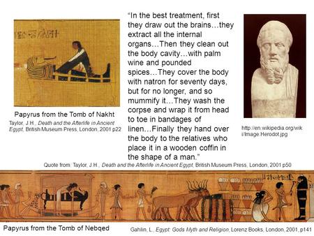 “In the best treatment, first they draw out the brains…they extract all the internal organs…Then they clean out the body cavity…with palm wine and pounded.