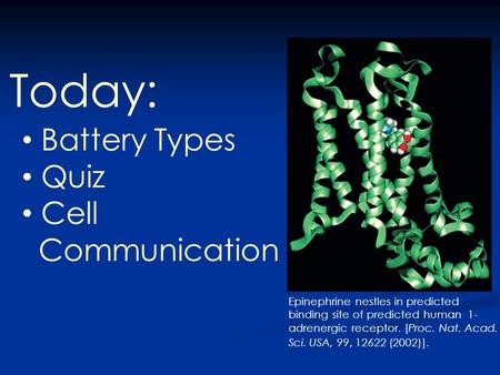 Today: Epinephrine nestles in predicted binding site of predicted human 1- adrenergic receptor. [Proc. Nat. Acad. Sci. USA, 99, 12622 (2002)]. Battery.