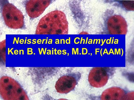 Neisseria and Chlamydia Ken B. Waites, M.D., F(AAM)