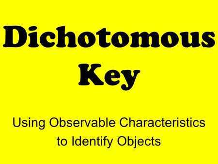 Dichotomous Key Using Observable Characteristics to Identify Objects.