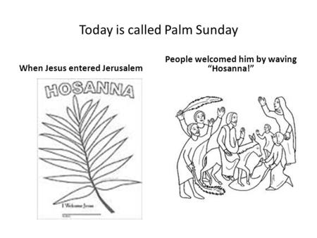 Today is called Palm Sunday When Jesus entered Jerusalem People welcomed him by waving “Hosanna!”