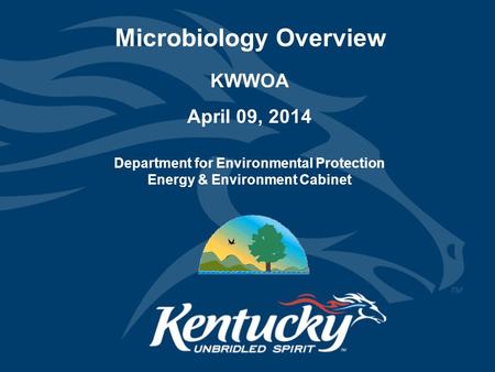 Microbiology Overview KWWOA April 09, 2014 Department for Environmental Protection Energy & Environment Cabinet.