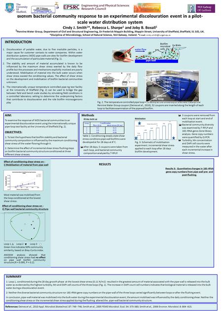 ) biofilm bacterial community structure. Biofilm bacterial community response to an experimental discolouration event in a pilot- scale water distribution.