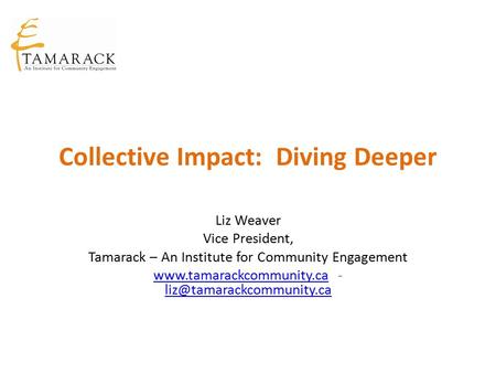 Collective Impact: Diving Deeper Liz Weaver Vice President, Tamarack – An Institute for Community Engagement www.tamarackcommunity.cawww.tamarackcommunity.ca.