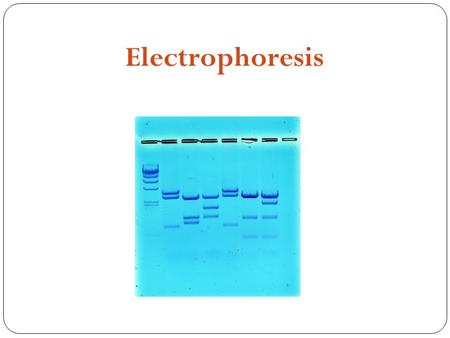 Electrophoresis. Separation technique based on the movement of analyte through a conductive medium in response to an applied electrical field. The medium.