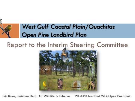 West Gulf Coastal Plain/Ouachitas Open Pine Landbird Plan Eric Baka, Louisiana Dept. Of Wildlife & Fisheries WGCPO Landbird WG, Open Pine Chair Report.