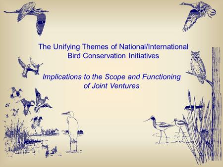 The Unifying Themes of National/International Bird Conservation Initiatives Implications to the Scope and Functioning of Joint Ventures.