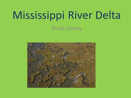 Mississippi River Delta Brady Seeley. Location Characteristics River itself discharges 41% of headwater’s flow from the U.S. Discharge is 470,000 cfs.