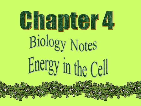 Chapter Objectives  You will learn what ATP is  You will explain how ATP provides energy for the cell  You will describe how chloroplasts trap the.