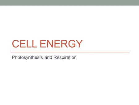 Photosynthesis and Respiration