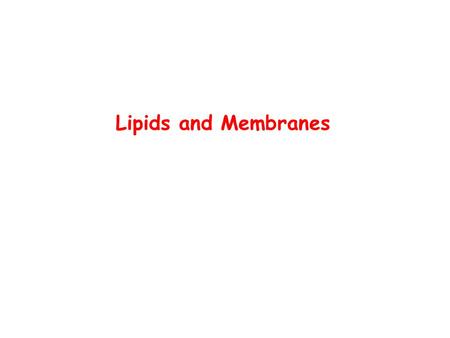 Lipids and Membranes.