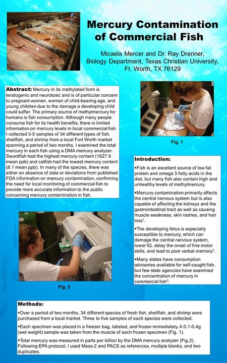 Mercury Contamination of Commercial Fish Abstract: Mercury in its methylated form is teratogenic and neurotoxic and is of particular concern to pregnant.