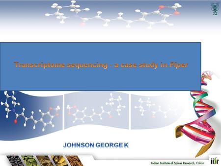 Transcriptome sequencing - a case study in Piper