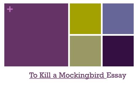 To Kill a Mockingbird Essay