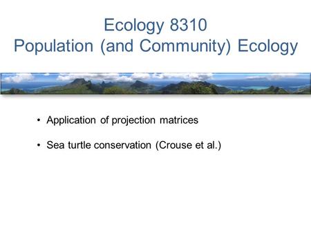 Ecology 8310 Population (and Community) Ecology Application of projection matrices Sea turtle conservation (Crouse et al.)