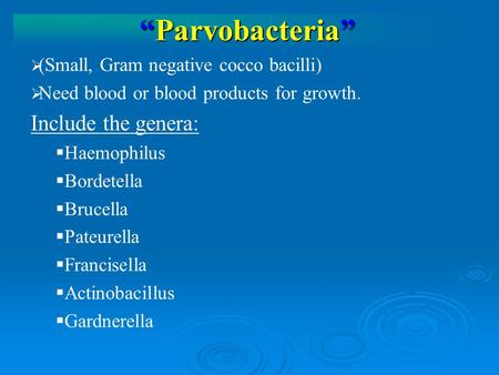 “Parvobacteria”   (Small, Gram negative cocco bacilli)   Need blood or blood products for growth. Include the genera:   Haemophilus   Bordetella.