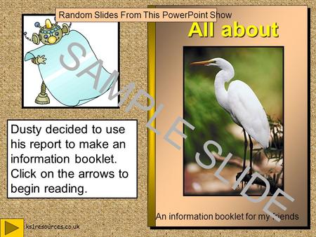 www.ks1resources.co.uk All about Birds An information booklet for my friends Dusty decided to use his report to make an information booklet. Click on.