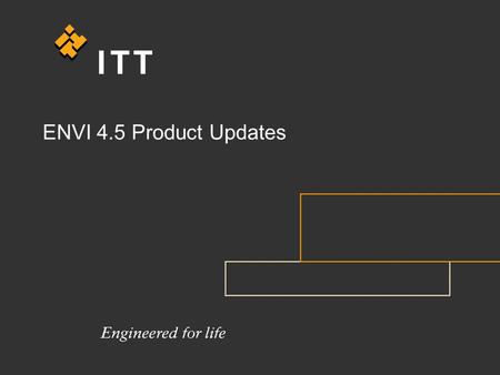 ENVI 4.5 Product Updates. Visual Information Solutions ENVI 4.5 Value Proposition ArcGIS Interoperability: Geodatabase and ArcMap access Fx enhancements: