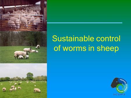 Sustainable control of worms in sheep. Sustainable worm control in sheep This slide show has been made available by SCOPS. Sustainable Control of Parasites.