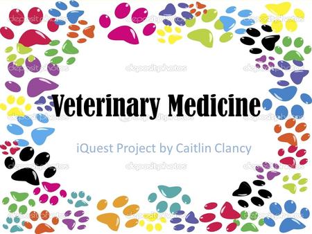 Veterinary Medicine iQuest Project by Caitlin Clancy.