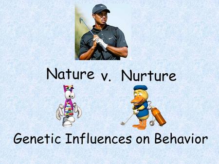 Genetic Influences on Behavior Nature v.Nurture. The Nature Argument (is sometimes compelling) This guy will never be….This guy!!! Why does Brad Pitt.