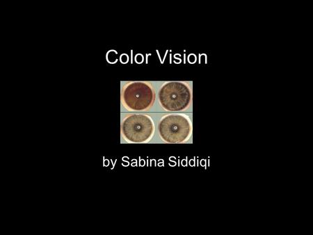 Color Vision by Sabina Siddiqi. The idea Simulate the image that is formed on the retina of the human eye BEFORE it reaches the brain.