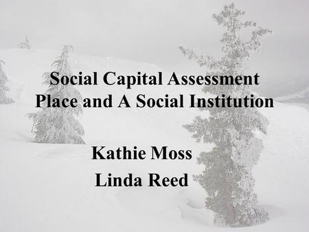 Social Capital Assessment Place and A Social Institution Kathie Moss Linda Reed.