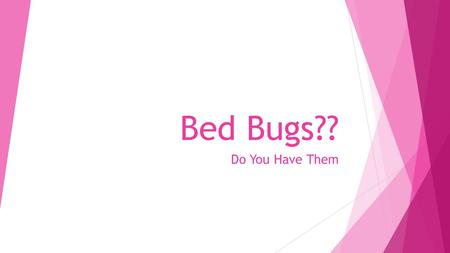 Bed Bugs?? Do You Have Them. This is an adult Bed Bug… They are real and becoming an epidemic.