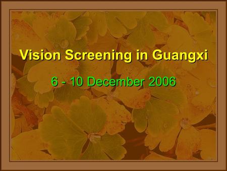 Vision Screening in Guangxi 6 - 10 December 2006.