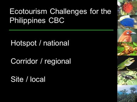 Ecotourism Challenges for the Philippines CBC Hotspot / national Corridor / regional Site / local.