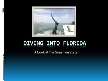 A Look at The Sunshine State Florida Basics  Flag  Bird  Flower  Seal.