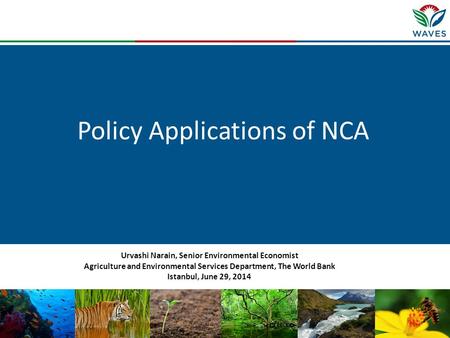 Policy Applications of NCA Urvashi Narain, Senior Environmental Economist Agriculture and Environmental Services Department, The World Bank Istanbul, June.