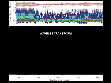 WAVELET TRANSFORM.