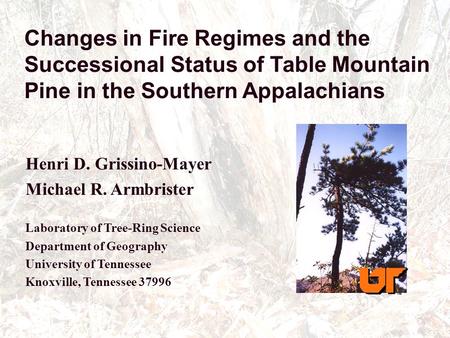 Changes in Fire Regimes and the Successional Status of Table Mountain Pine in the Southern Appalachians Henri D. Grissino-Mayer Michael R. Armbrister Laboratory.